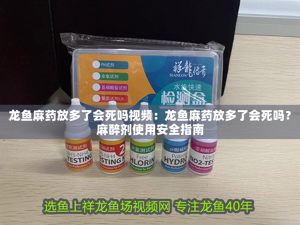 龍魚麻藥放多了會死嗎視頻：龍魚麻藥放多了會死嗎？麻醉劑使用安全指南