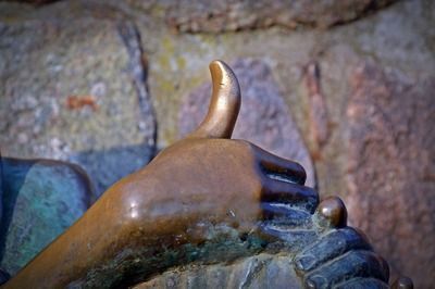 什么龍魚最便宜的好養(yǎng)（如何選擇最便宜且好養(yǎng)的龍魚品種） 什么龍魚最便宜的好養(yǎng)（如何選擇最便宜且好養(yǎng)的龍魚品種） 龍魚百科 第2張