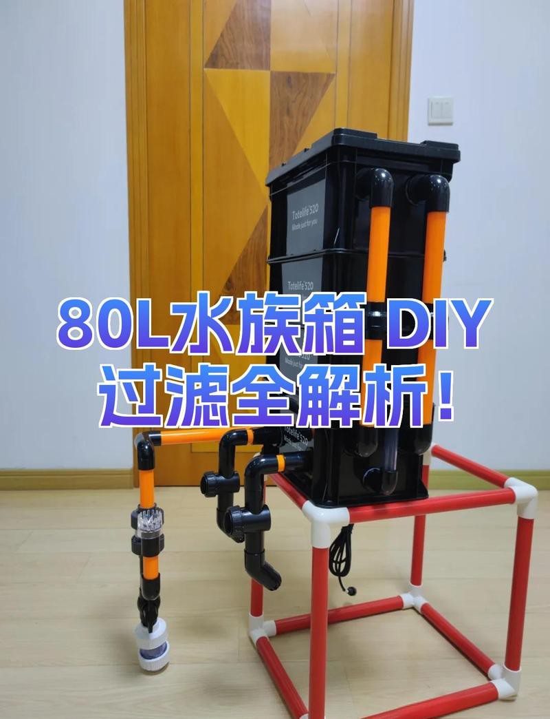 龍魚和貓魚混養需要多大的過濾？