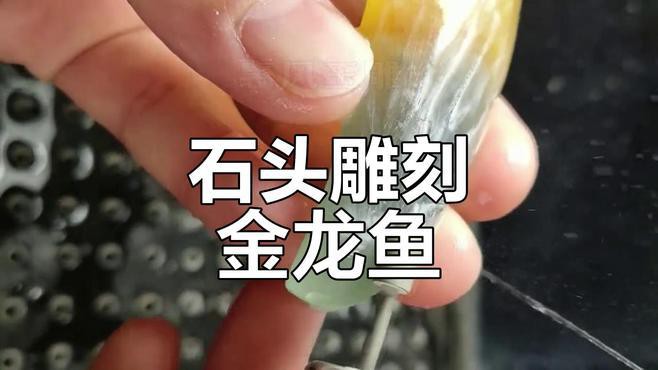 大型金龍魚視頻教程