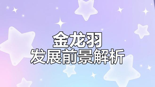 金龍羽的財務狀況如何？