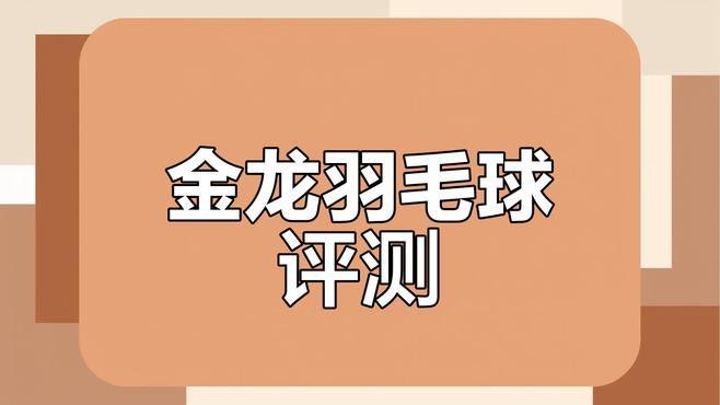 金龍羽的財(cái)務(wù)狀況如何？