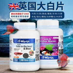 龍魚大白片是什么：龍魚大白片在使用過程中不會損害水草、無脊椎生物及硝化細菌