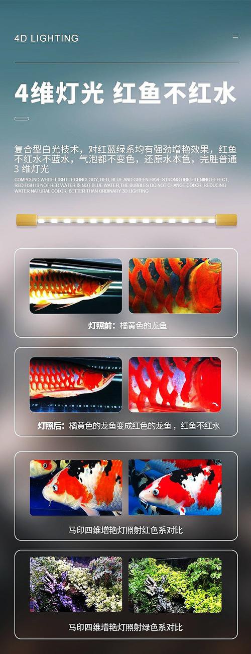 哪種品牌的三基色燈適合龍魚？