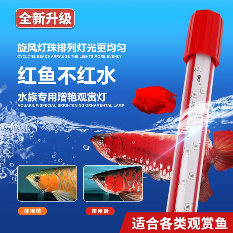 哪種品牌的三基色燈適合龍魚？