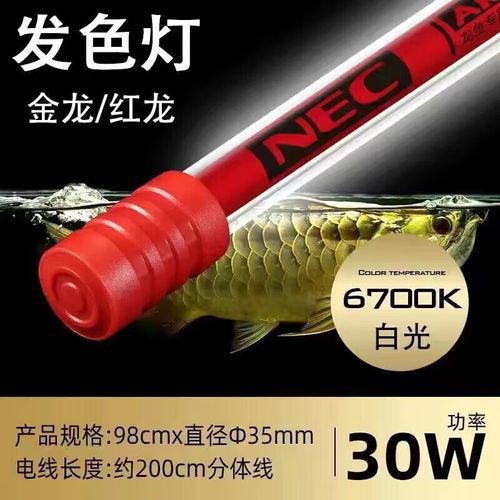 哪種品牌的三基色燈適合龍魚？