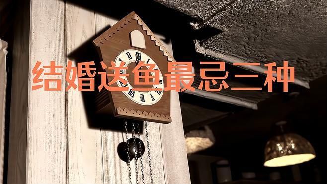 還有哪些魚種不適合贈送？