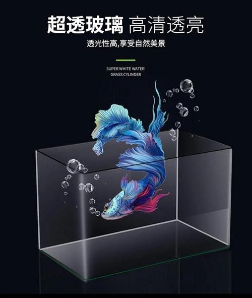 六角恐龍魚跳缸