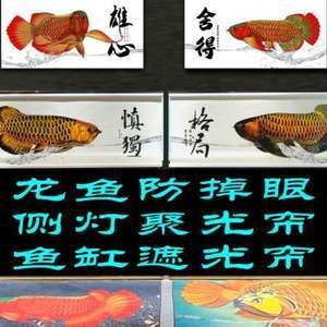 賣龍魚取一個店名好嗎（為賣龍魚的店取名）