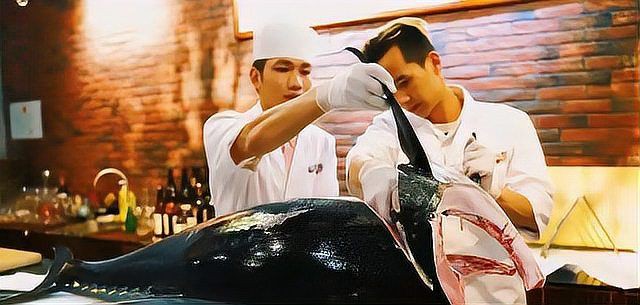 金鱒魚為何被國(guó)家禁止