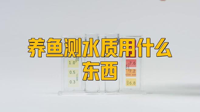 才買回來的紅龍魚幾天都沒有吃東西了
