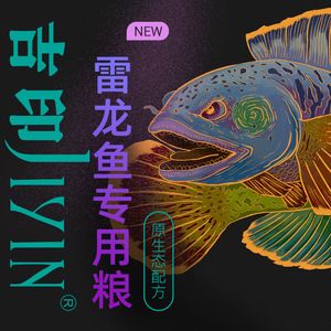 雷龍魚幼魚適宜的飼料選擇：雷龍魚幼魚適宜的飼料選擇及牌推薦 雷龍魚幼魚適宜的飼料選擇：雷龍魚幼魚適宜的飼料選擇及牌推薦 龍魚百科 第4張