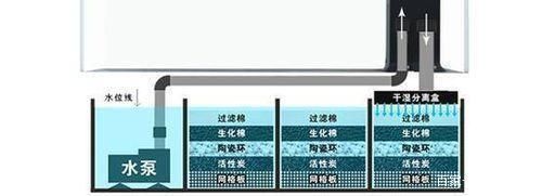 龍魚缸用多大的水泵好：選擇合適的水泵對于維護龍魚缸的水質和魚類健康至關重要 龍魚缸用多大的水泵好：選擇合適的水泵對于維護龍魚缸的水質和魚類健康至關重要 龍魚百科 第4張