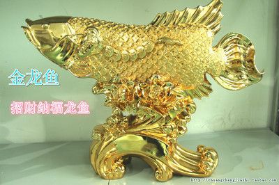 最大的金龍魚是哪里生產的（世界第一金龍魚原產地是哪里生產的金龍魚產地是哪里） 最大的金龍魚是哪里生產的（世界第一金龍魚原產地是哪里生產的金龍魚產地是哪里） 龍魚百科 第2張