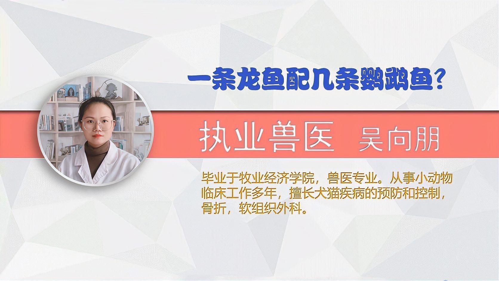 龍魚混養的最佳比例是多少？