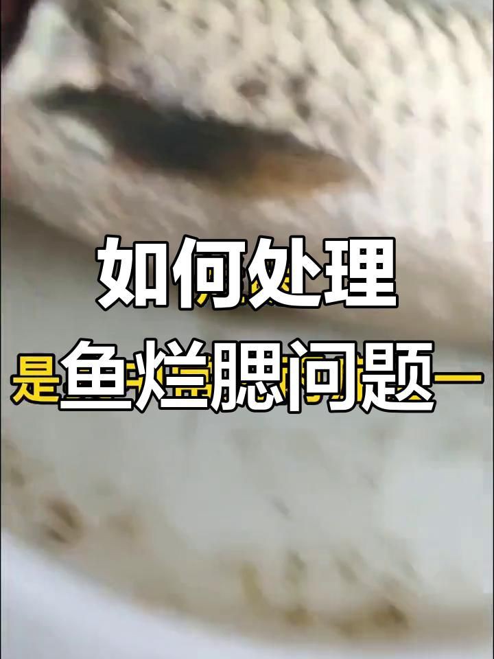 如何判斷魚是哪種類型的爛鰓病？