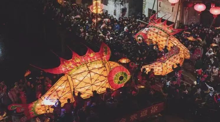 馬印龍魚燈怎么樣（馬印龍魚燈怎么樣？） 馬印龍魚燈怎么樣（馬印龍魚燈怎么樣？） 龍魚百科 第2張