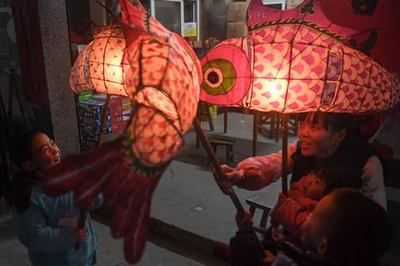 馬印龍魚燈怎么樣（馬印龍魚燈怎么樣？） 馬印龍魚燈怎么樣（馬印龍魚燈怎么樣？） 龍魚百科 第5張