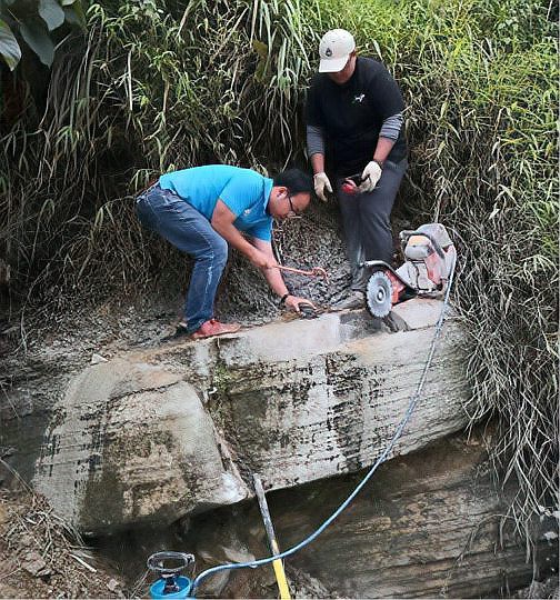 還有哪些著名的魚龍化石未被提及？