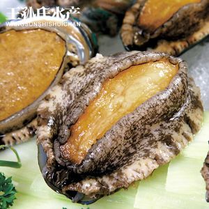 鮑魚和龍魚可以一起混合養殖嗎，鮑魚可以和龍魚一起養嗎：鮑魚可以和龍魚一起養嗎？