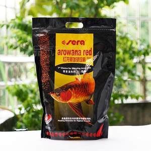 紅龍魚喂什么飼料好養一點（紅龍魚吃什么最好紅龍魚飼養方法全攻略）