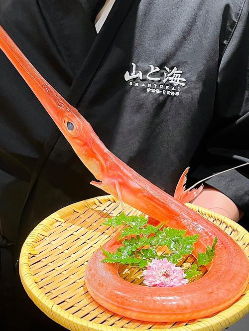 海龍魚圖片做流魚片