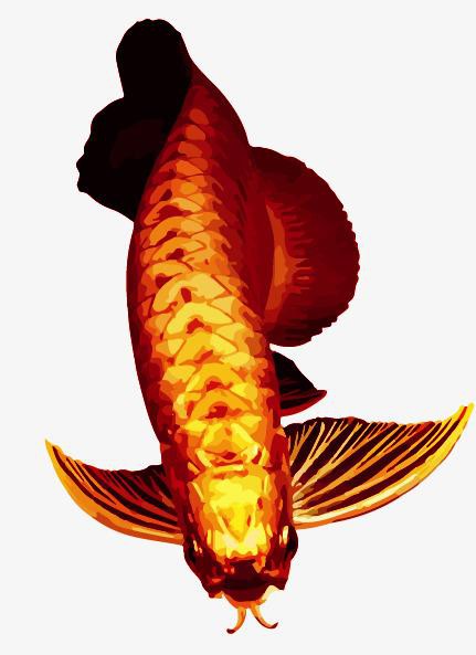 有沒有更多風格的紅龍魚壁紙？