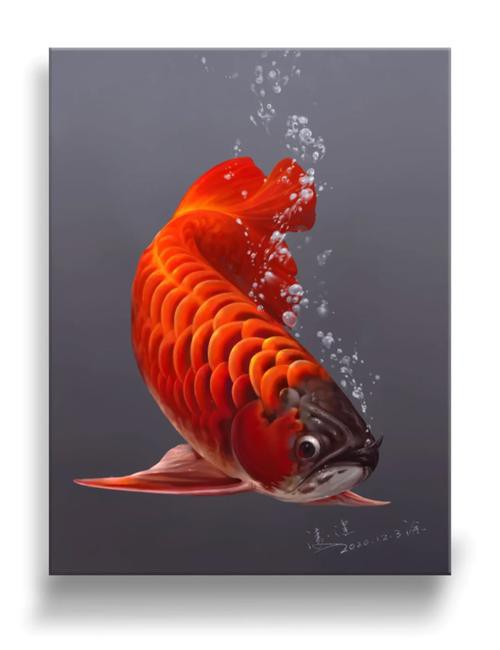 有沒有更多風格的紅龍魚壁紙？