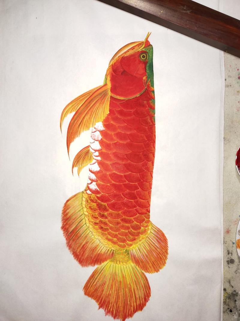 有沒有更多風格的紅龍魚壁紙？