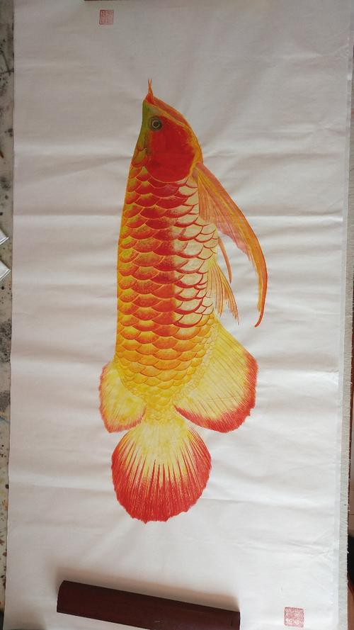 有沒有更多風格的紅龍魚壁紙？