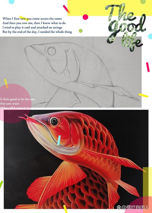 有沒有更多風格的紅龍魚壁紙？