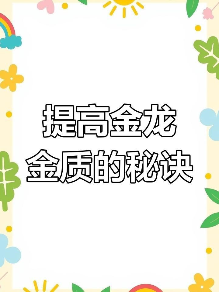 金龍魚光照條件優化