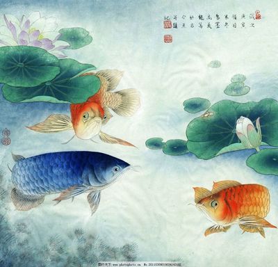 金龍魚水墨畫 金龍魚水墨畫 龍魚百科 第1張
