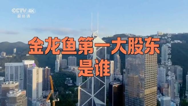 金龍魚最大股東是誰 金龍魚最大股東是誰 龍魚百科 第2張