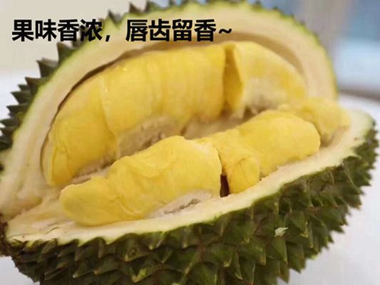 貓山王榴蓮營養價值分析，榴蓮與其他水果營養對比，貓山王榴蓮的食用禁忌，榴蓮減肥效果如何