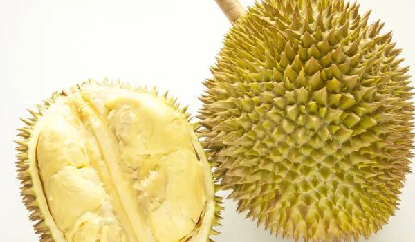貓山王榴蓮營養價值分析，榴蓮與其他水果營養對比，貓山王榴蓮的食用禁忌，榴蓮減肥效果如何