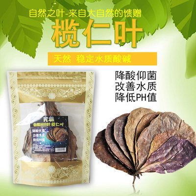 欖仁葉降酸效果的科學依據：關于欖仁葉降酸的科學依據