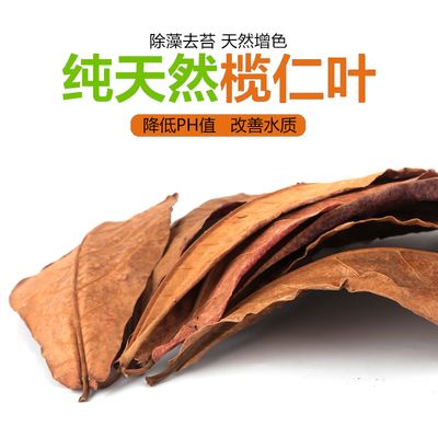 欖仁葉降酸效果的科學依據：關于欖仁葉降酸的科學依據