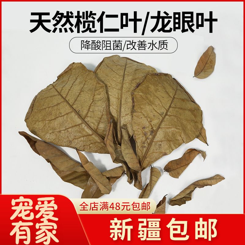 欖仁葉降酸效果的科學依據：關于欖仁葉降酸的科學依據