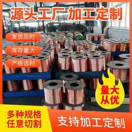 金龍魚銅線 金龍魚銅線 龍魚百科 第9張