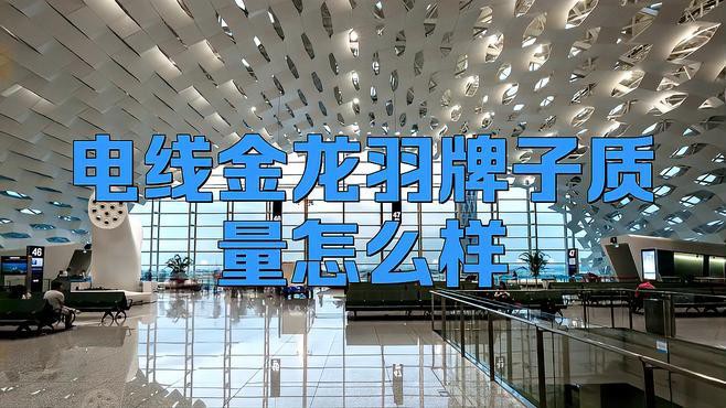 金龍魚銅線 金龍魚銅線 龍魚百科 第4張