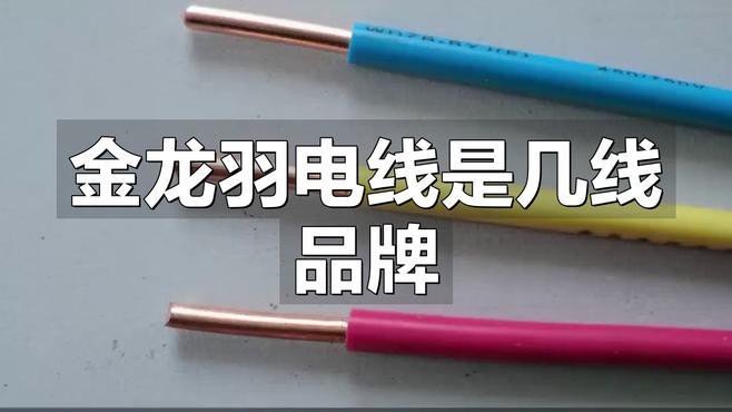 金龍魚銅線 金龍魚銅線 龍魚百科 第3張