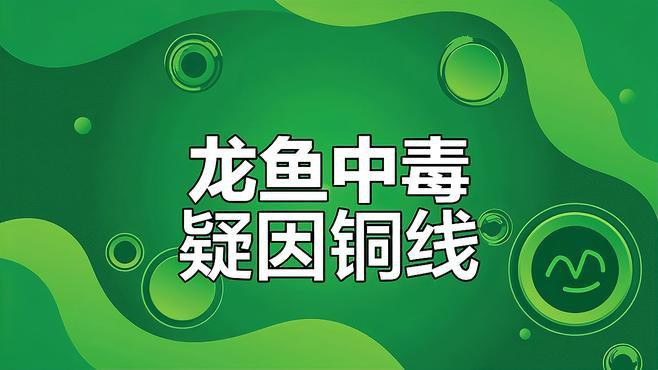 金龍魚銅線 金龍魚銅線 龍魚百科 第5張