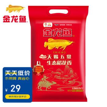 如何選金龍魚活體：如何選擇金龍魚活體