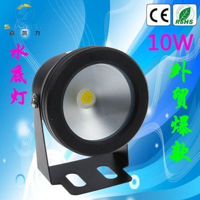 什么品種紅龍魚最貴最好養活：紅龍魚中最貴的品種是血麒麟，橙紅龍是最貴的品種