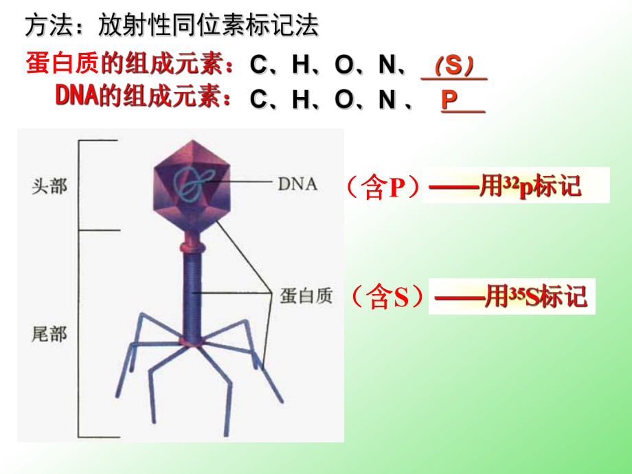 微信旺財山水風景圖片：微信用什么頭像最吉利？ 微信旺財山水風景圖片：微信用什么頭像最吉利？ 黃金貓魚百科 第1張
