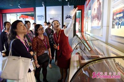 豬鼻龜多深的水養最好看圖片大全(豬鼻龜壽命十大深水龜)