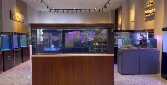 愛唯希魚缸適宜的水質參數，愛唯希魚缸水質管理技巧