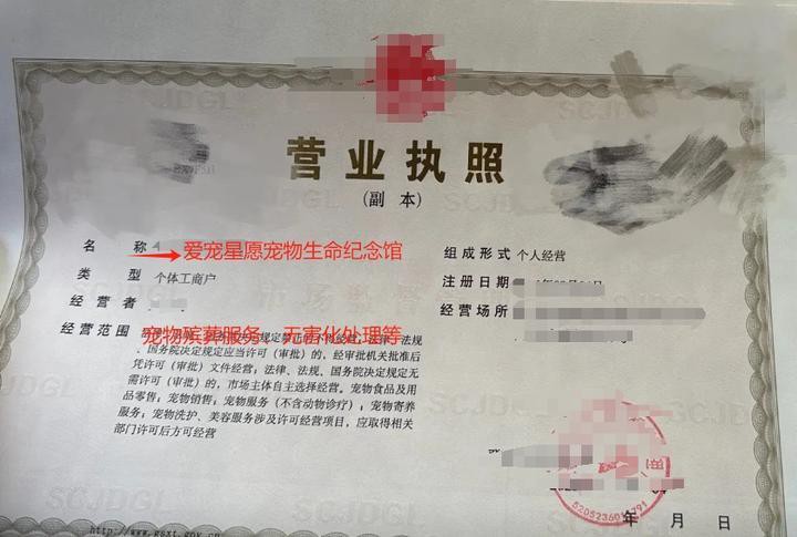 如何判斷一個機構是否具備龍魚火化資質？