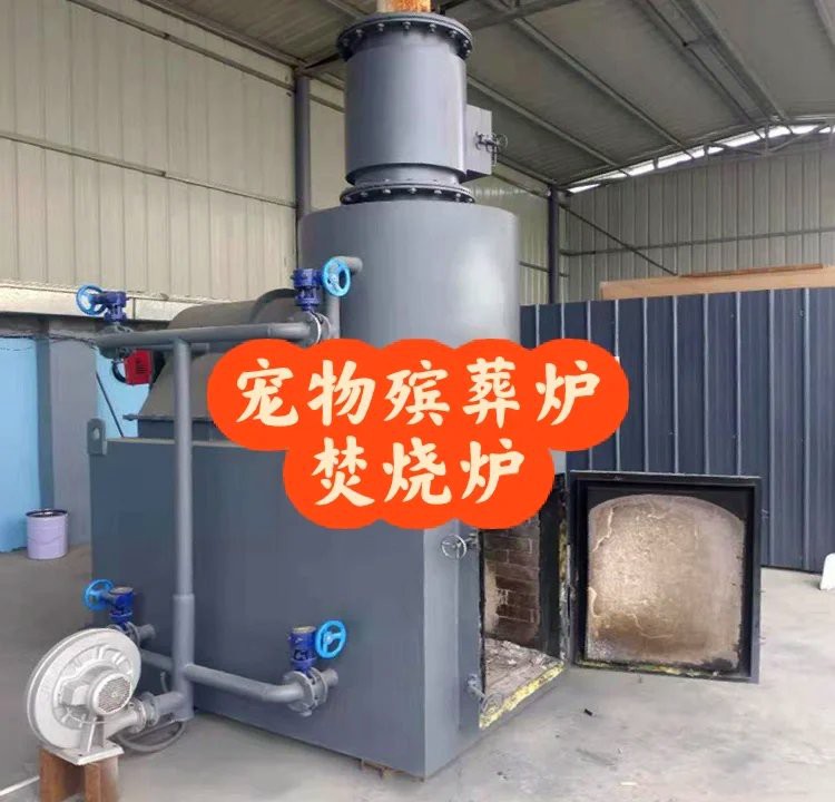如何判斷一個機構是否具備龍魚火化資質？